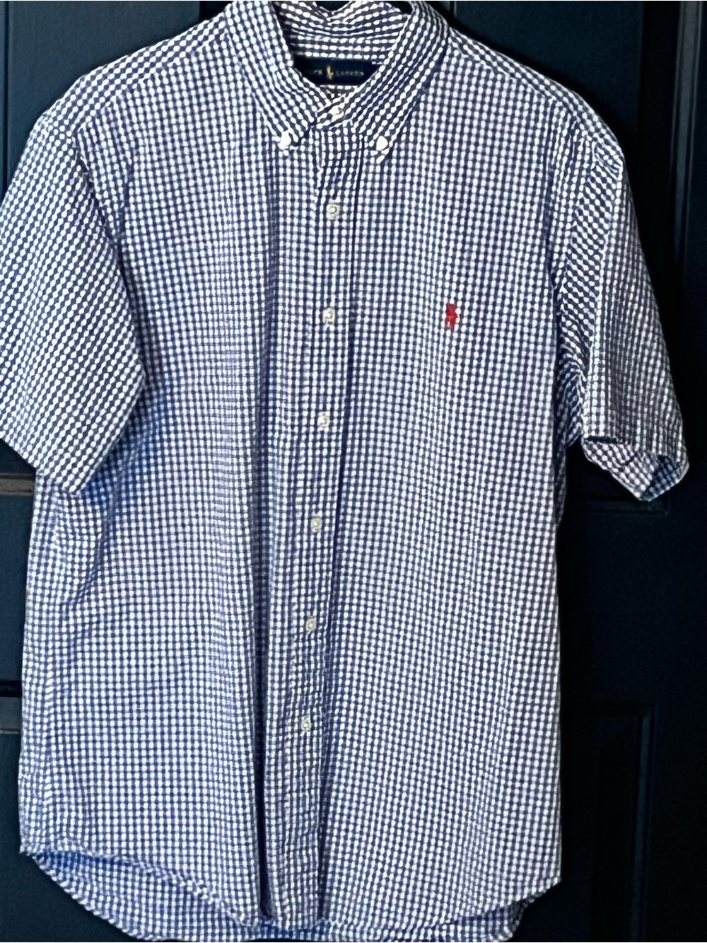 Ralph Lauren Navy & White Gingham Short-Sleeve Button-Down Shirt